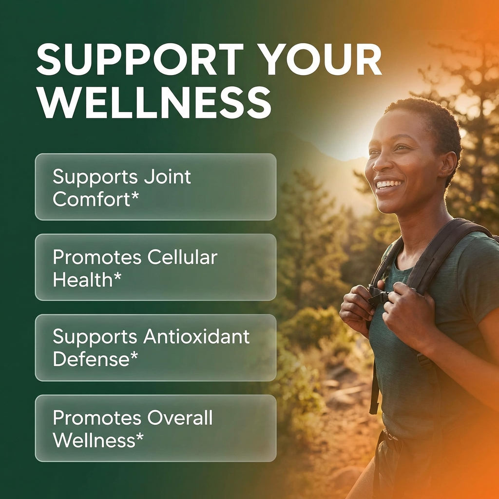 Clean Nutra Soursop Supplement Moringa Sea Moss Black Seed Oil Berberine Turmeric Resveratrol Quercetin Greens Bitters Boswellia Bitter - FENGGESTORE20