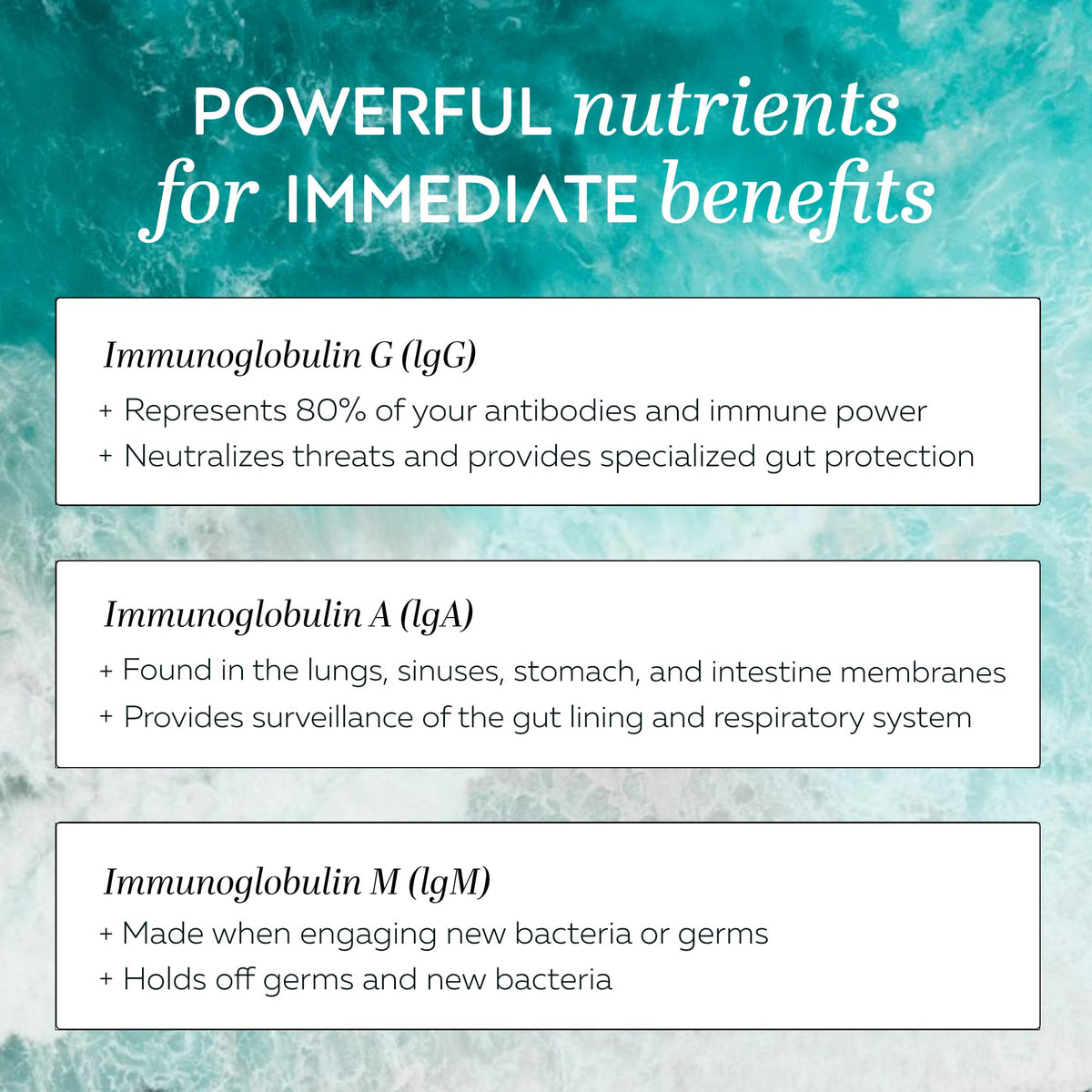 CLEANSE | IgG Dairy-Free Colostrum | 50.5% IgG Potent Concentrated Immune Support | Daily Gut Health Detox, Energy, Prebiotics, Digestive Support | 120 Capsules | 30 Day Supply, 1-Pack - FENGGESTORE20