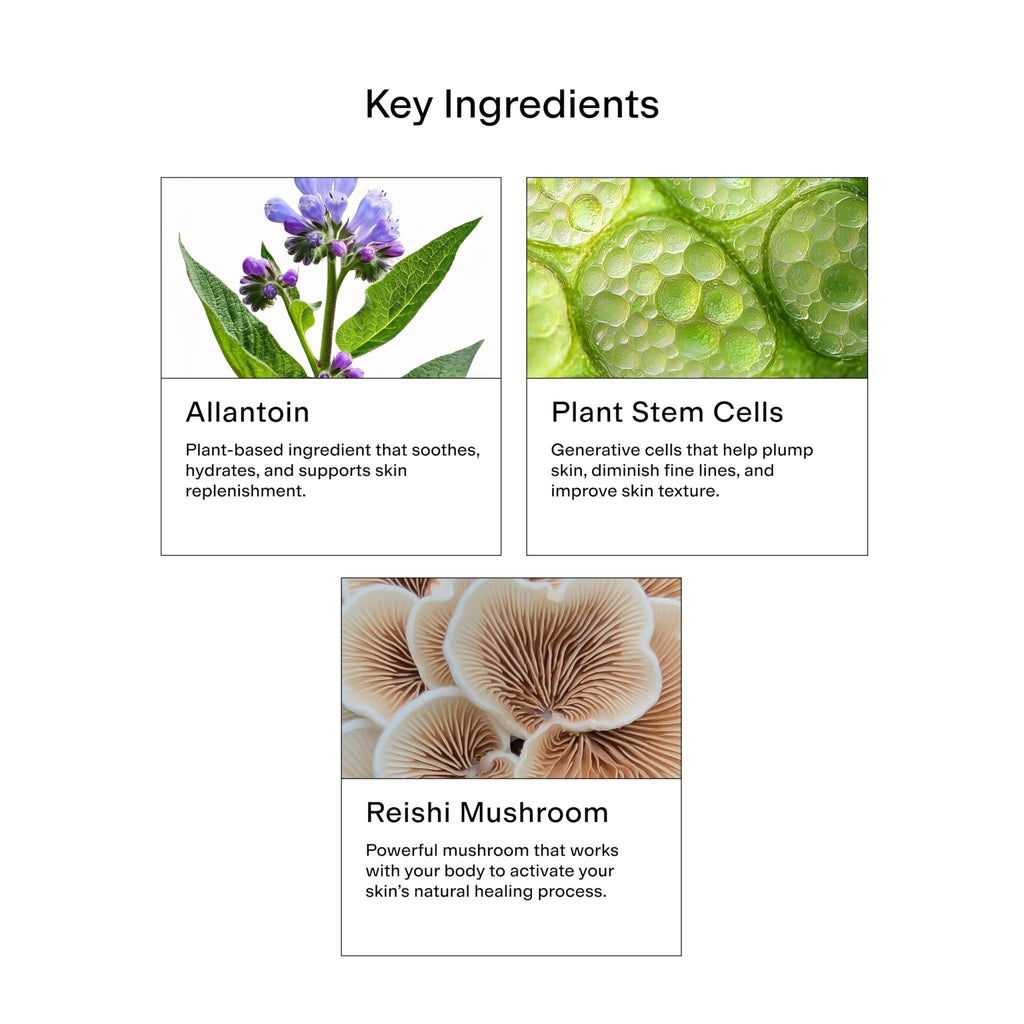 CLEARSTEM - CELLRENEW - Collagen Stem Cell Serum - Acne + Youthful Skin Face Serum - Hyaluronic Acid, Reishi, Aloe Vera - Facial Skin Care Products - FENGGESTORE20
