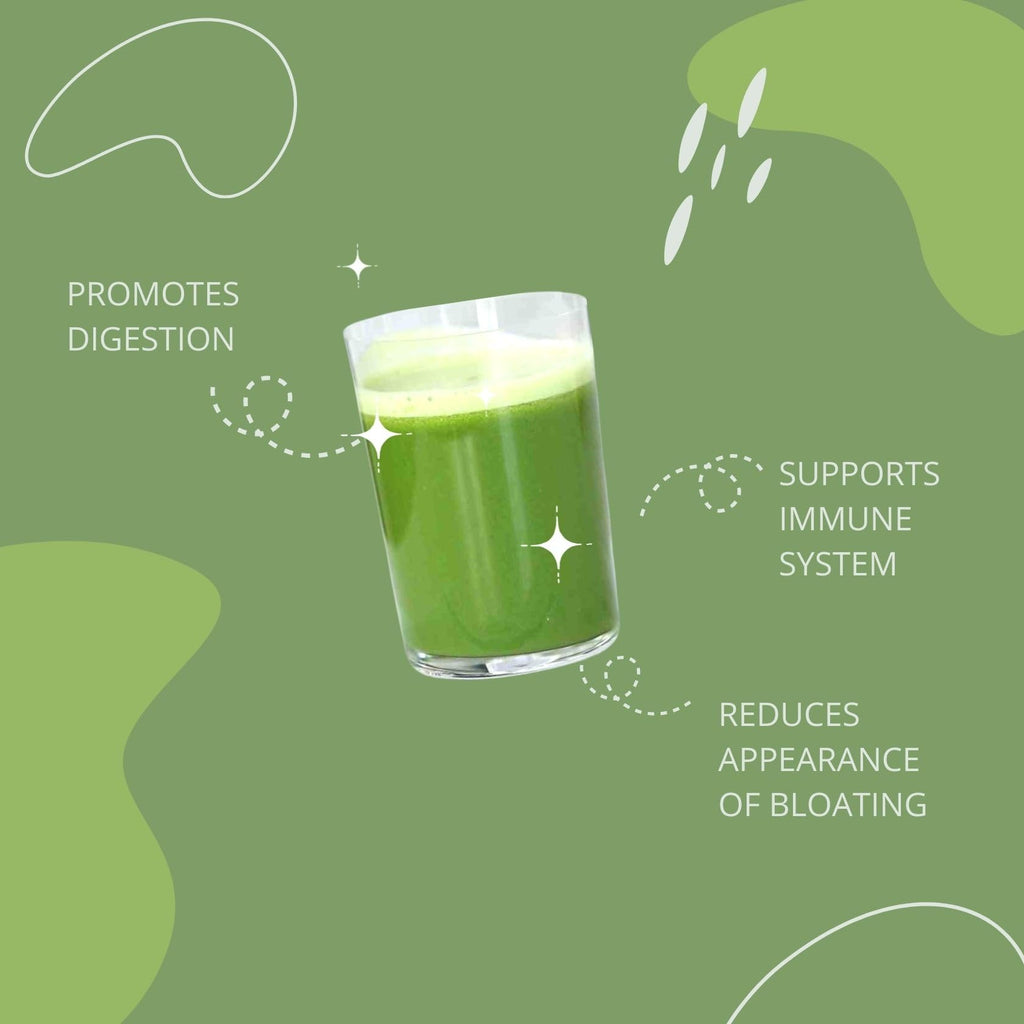 Consult Health Gut-Duction Bloat Control – Gut Health Support Superfood Formula – Plant Based Proteins - Probiotics – Powder Drink Mix – 28 Servings – 9.9 oz. - FENGGESTORE20
