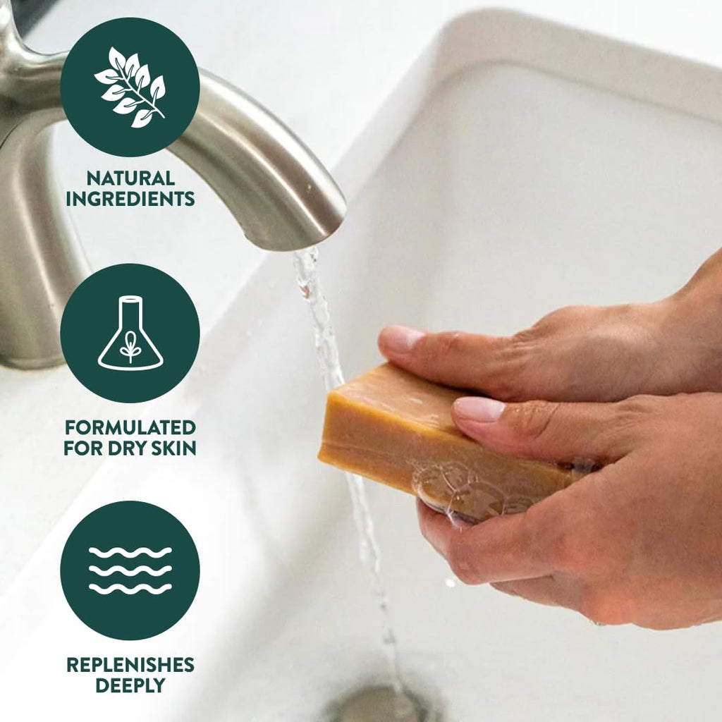 Crate 61 Organics, Handmade in Canada, Plant Based Cold Process Natural Bar Soap, With Premium Essential Oils, Dry Skin, Pack of 6 (For Him) - FENGGESTORE20