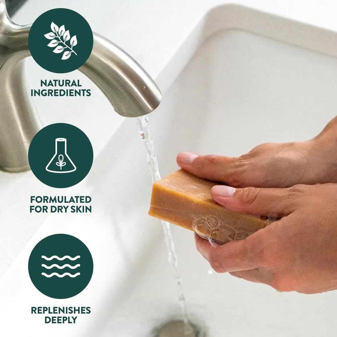Crate 61 Organics, Handmade in Canada, Plant Based Cold Process Natural Bar Soap, With Premium Essential Oils, Dry Skin, Pack of 6 (For Him) - FENGGESTORE20