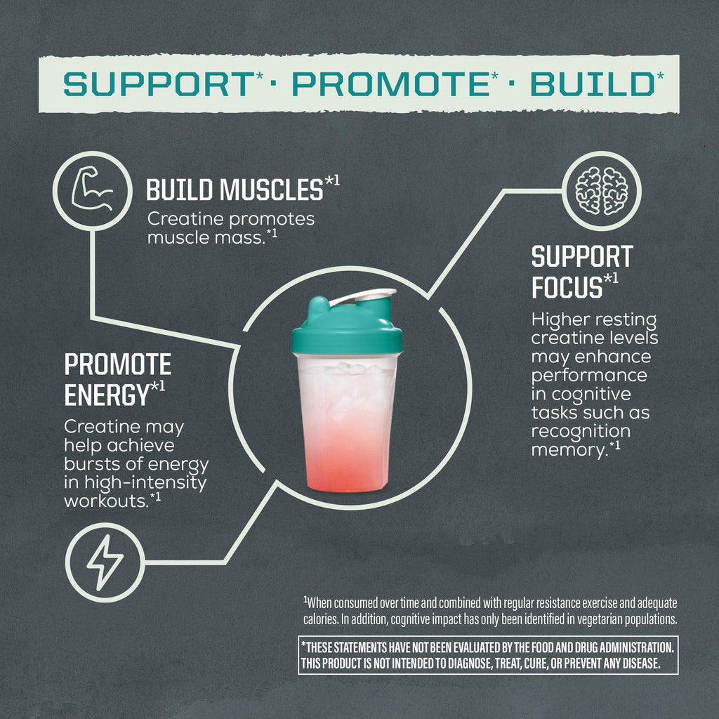 Creatine Monohydrate Powder Micronized PreWorkout Recovery Supplement | Support Muscle Building Strength Training Cognition | Vegan & Keto Friendly Easily Mixes - FENGGESTORE20