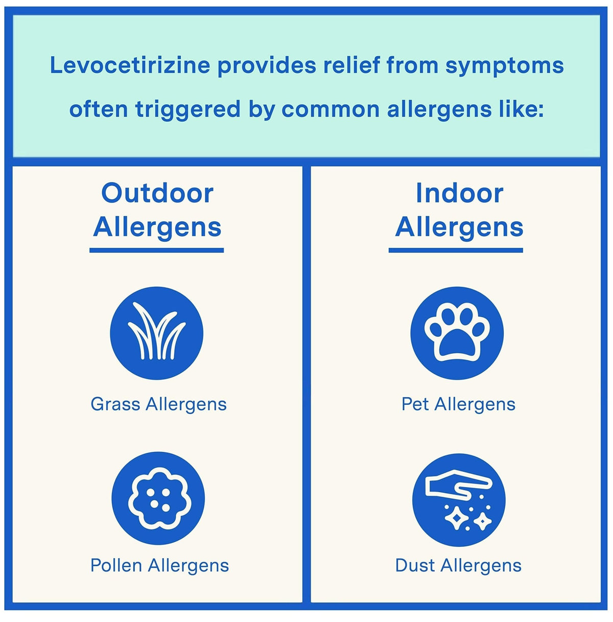 Curist - Generic Xyzal Levocetirizine 5 mg - (90 Tablets) - Allergy Pills, 24 Hour Allergy Relief - Allergy Medicine - FENGGESTORE20