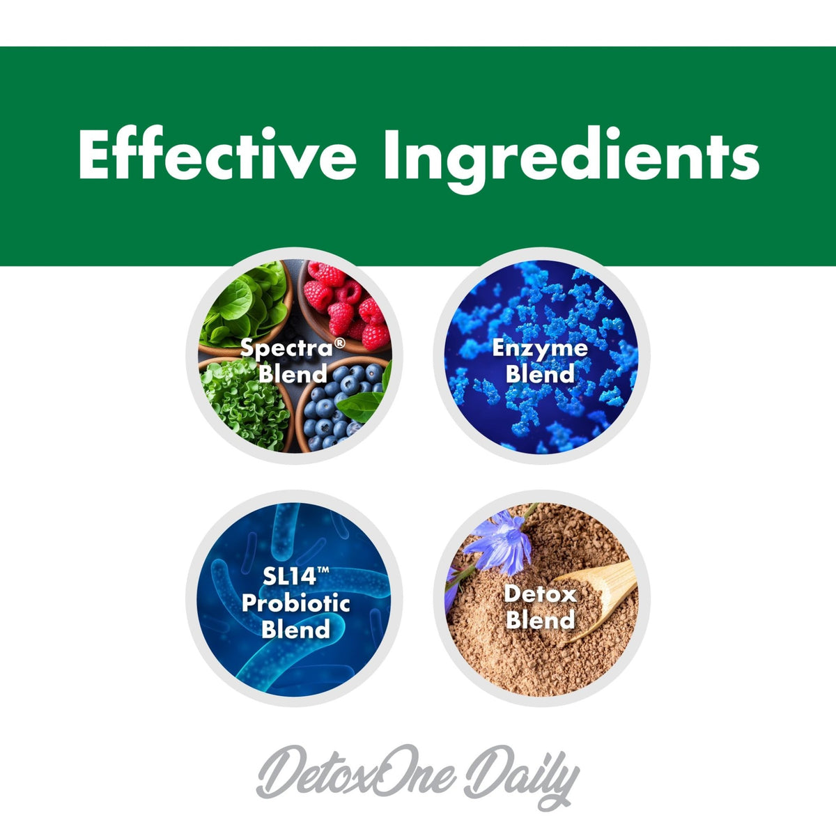 DetoxOne Daily Gut Health Powder* | Supports Normal/Healthy Digestive Function*| Promotes Detoxification*| Boost Energy & Improves Nutrient Absorption* - FENGGESTORE20