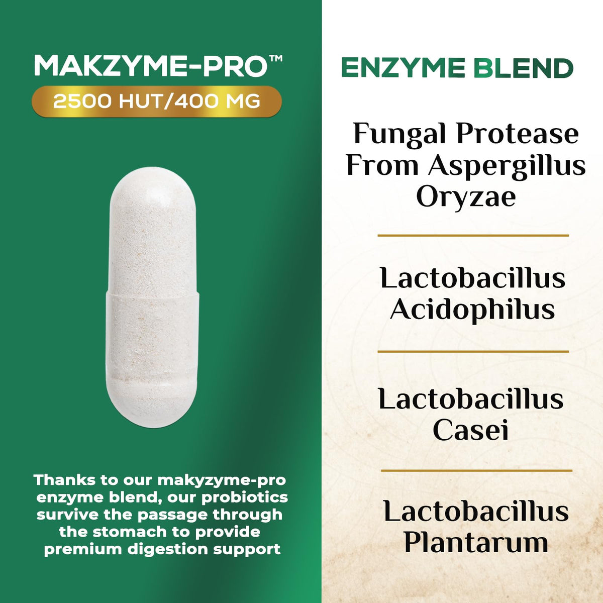 Digestive Enzymes - Super Digestive Multi Enzyme Complex for Bloating & Gut Health Support with Bromelain, Papain, Probiotics & Prebiotics - Digestion Health - FENGGESTORE20