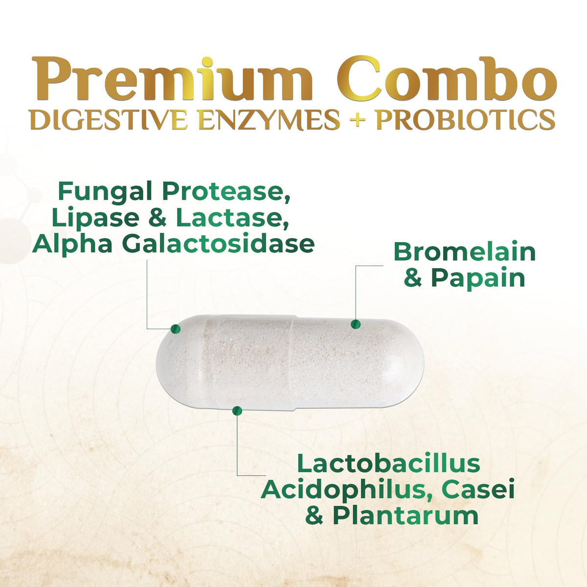 Digestive Enzymes - Super Digestive Multi Enzyme Complex for Bloating & Gut Health Support with Bromelain, Papain, Probiotics & Prebiotics - Digestion Health - FENGGESTORE20