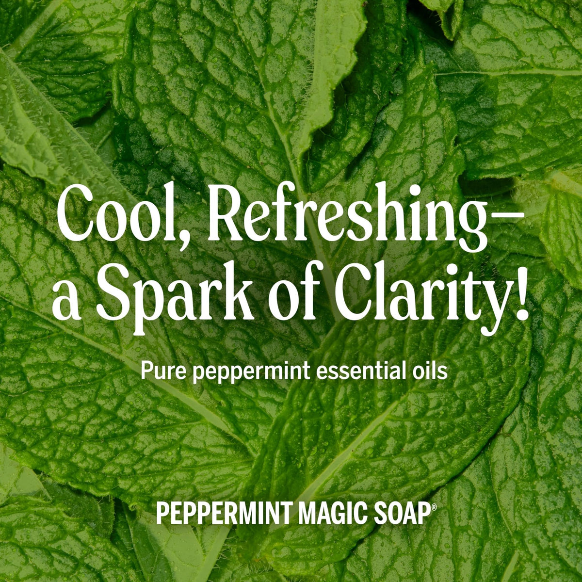 Dr. Bronner's Pure-Castile Magic Liquid Soap - Made with Regenerative Organic Certified Oils- 18-in-1 Uses for Face - FENGGESTORE20