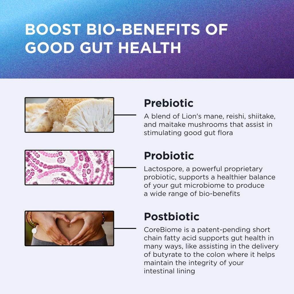 DR. EMIL NUTRITION Women & Men Total Gut Health Complex | Prebiotic + Probiotic + Postbiotic Gut Health Supplements - FENGGESTORE20