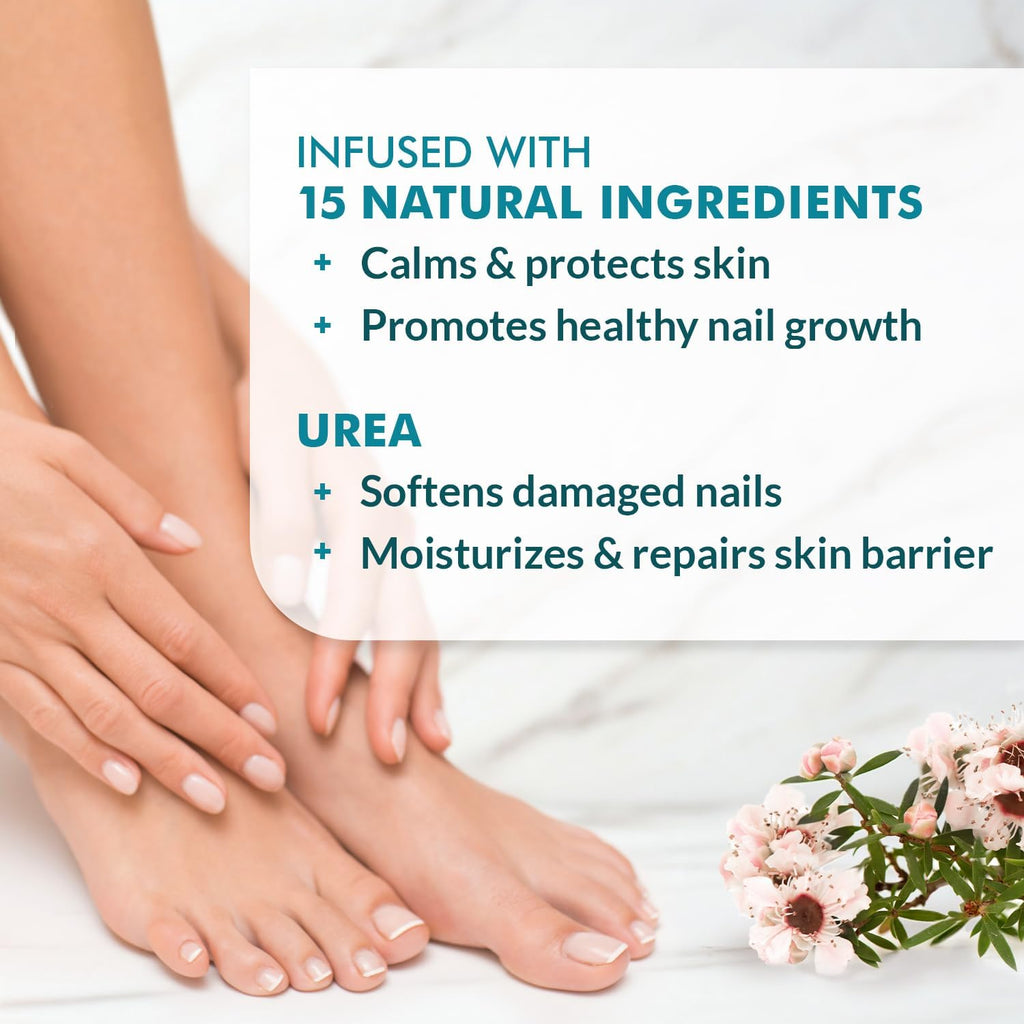 Ebanel Antifungal Cream Miconazole Athletes Foot Treatment, Cures Fungal Infection Leading to Nail Fungus, Jock Itch Cream with Undecylenic Acid, Tea Tree & Manuka Oil, Fast Itch Relief for Ringworm - FENGGESTORE20