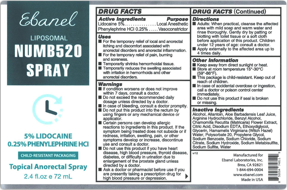 Ebanel Bundle of Lidocaine Numbing Cream, and Numbing Spray - FENGGESTORE20