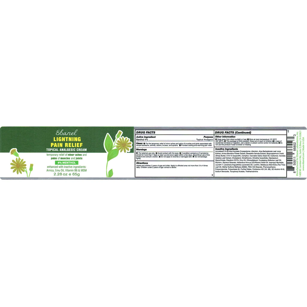 Ebanel Bundle of Pain Relief Cream Arnica Menthol 2 Oz, and Topical Numbing Cream 4 Oz - FENGGESTORE20