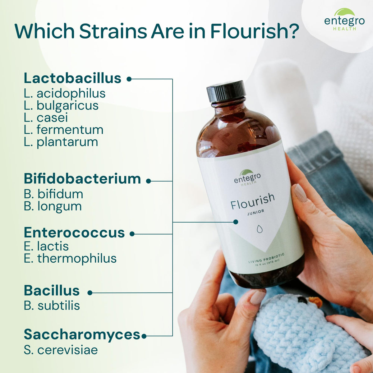 ENTEGRO Flourish Junior Liquid Probiotic & Postbiotic Supplement - Glass | 11 Live Cultures | Gut & Digestive Health for Women, Men & Kids | Organic, Vegan, Allergen Free | USA Made | 16 fl oz - FENGGESTORE20