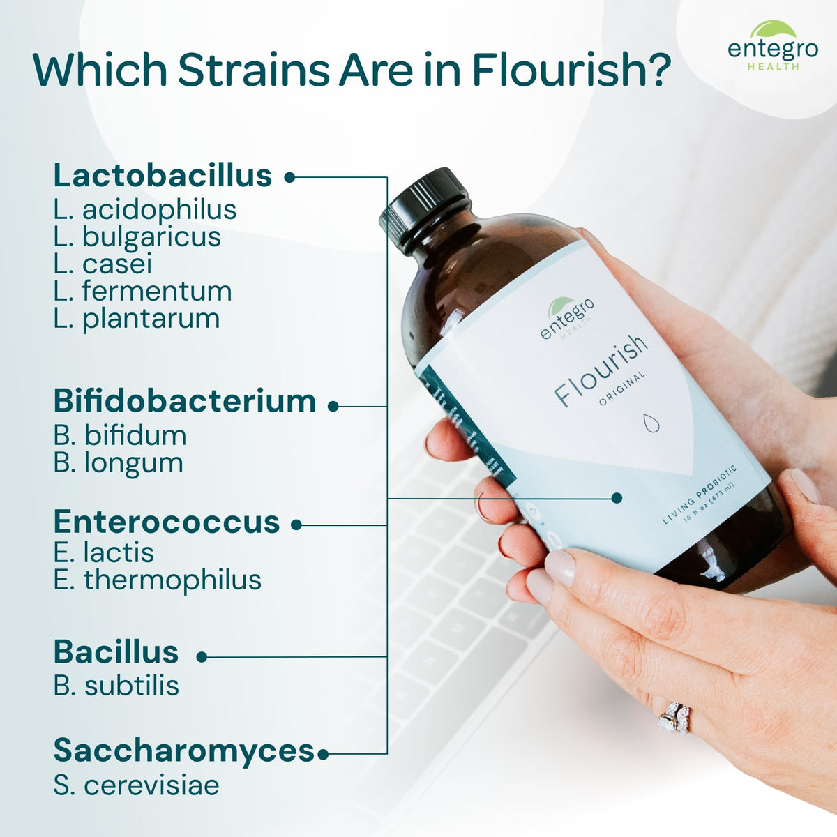 ENTEGRO Flourish Original Liquid Probiotic & Postbiotic Supplement - Glass | 11 Live Cultures | Gut & Digestive Health for Women, Men & Kids | Organic, Vegan - FENGGESTORE20