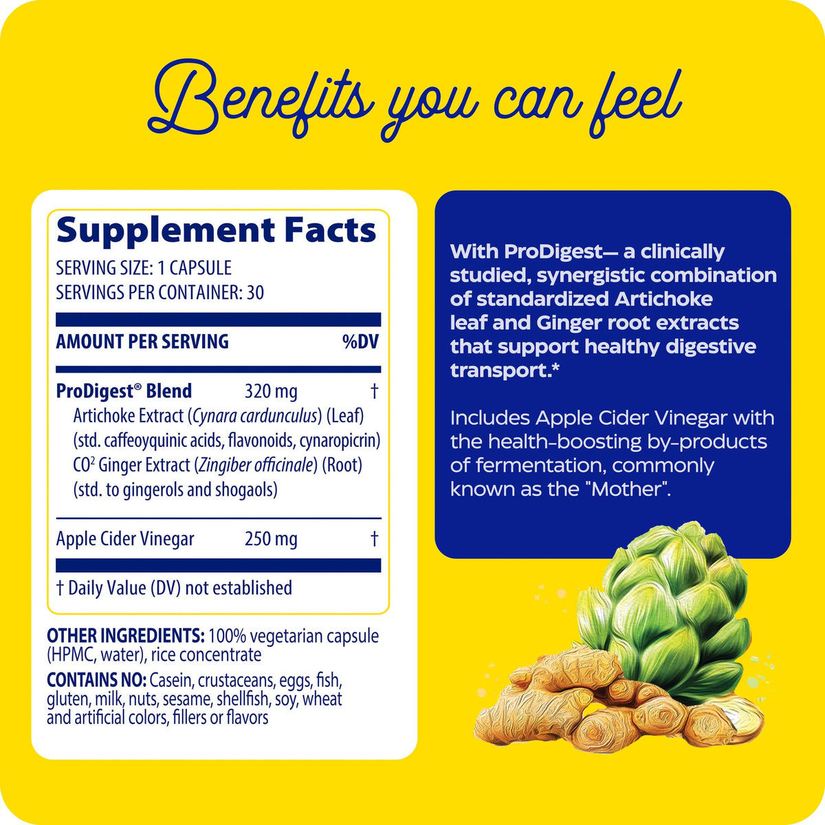 Enzymedica Gut Motility Supplement for Men & Women - Apple Cider Vinegar Capsules with Artichoke & Ginger Extract, Digestive Health Support for Adults - FENGGESTORE20