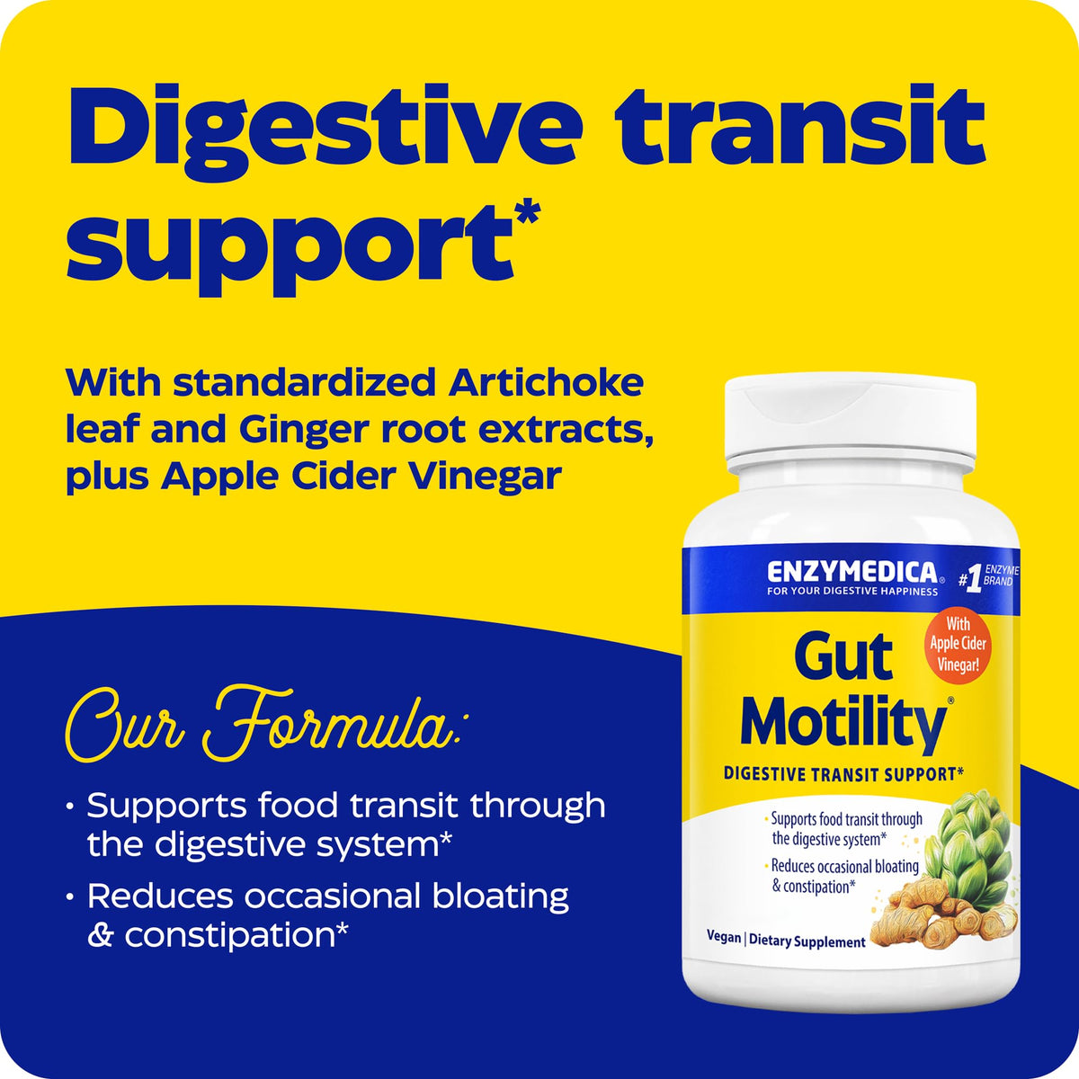 Enzymedica Gut Motility Supplement for Men & Women - Apple Cider Vinegar Capsules with Artichoke & Ginger Extract, Digestive Health Support for Adults - FENGGESTORE20