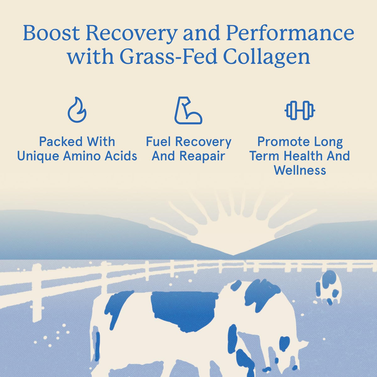 Equip Foods Grass Fed Collagen Powder | Hydrolyzed Bovine Collagen Peptides with Amino Acids | Prime Beef Collagen for Healthy Joints, Skin & Nails | Non-GMO, Paleo Friendly - FENGGESTORE20