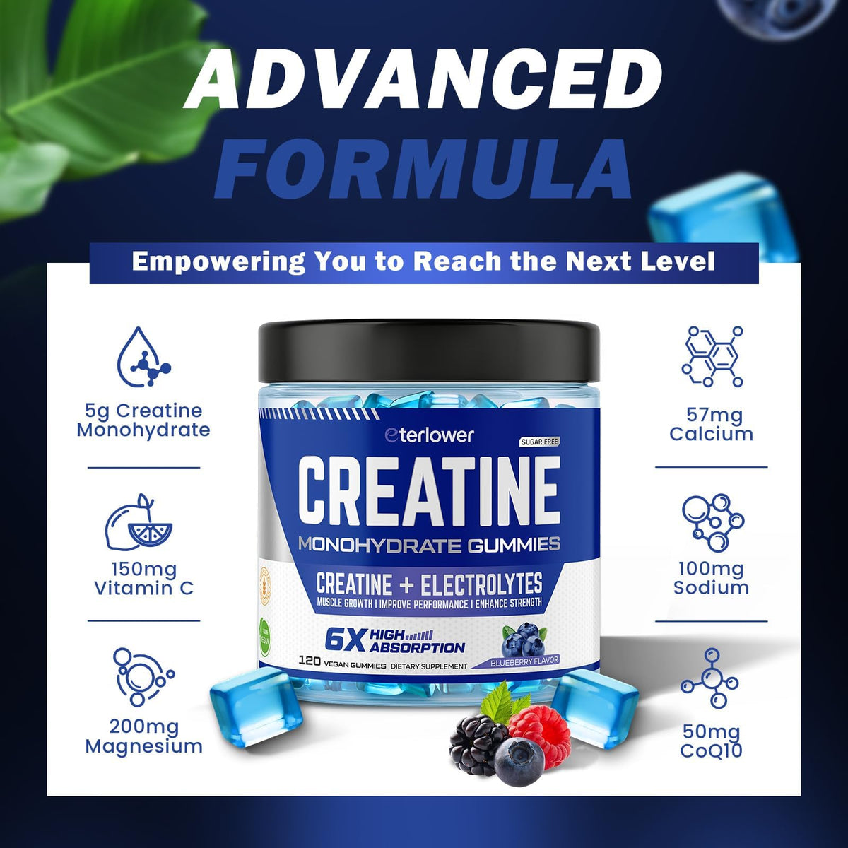 eterlower Creatine Monohydrate Gummies 5g – Pre-Workout Energy & Muscle Growth Support for Men & Women | Blueberry Electrolyte Gummies, 120 Count - FENGGESTORE20