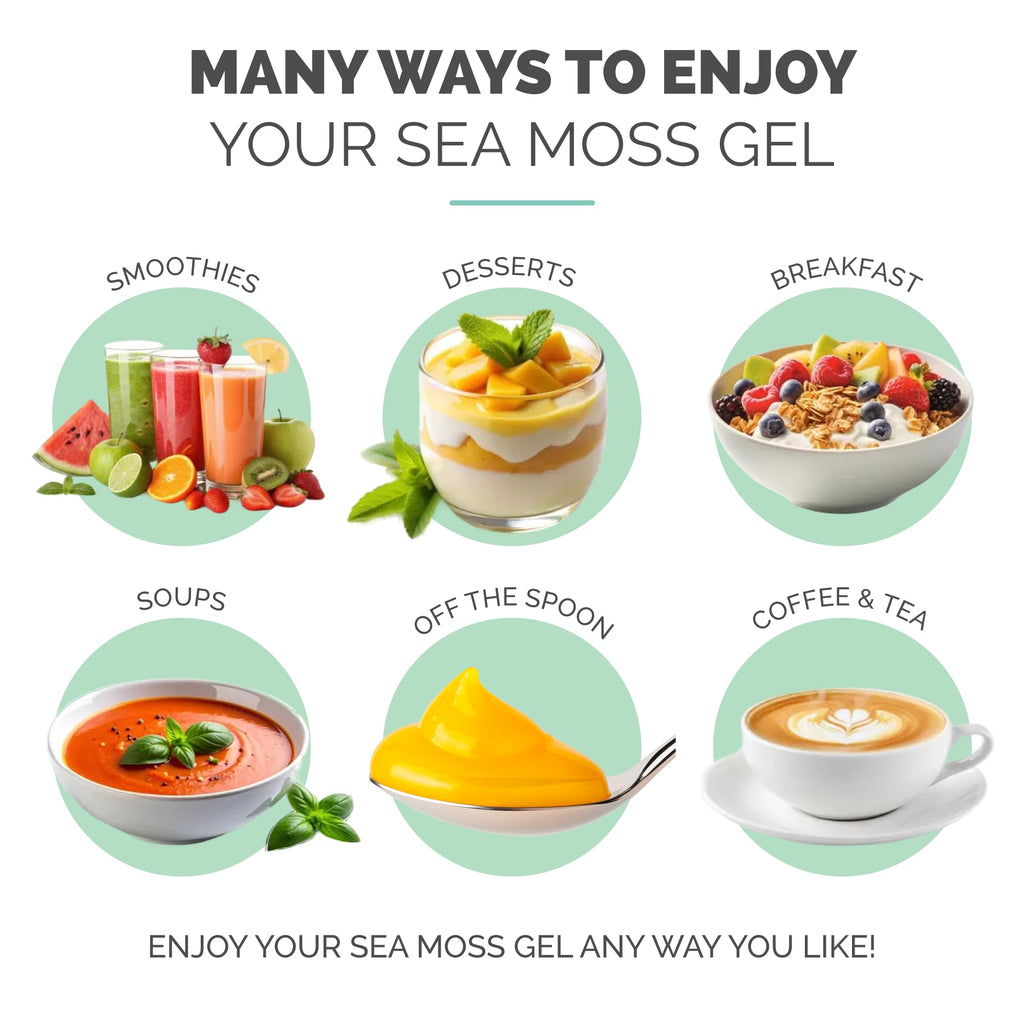 EverSmith Organics - Wildcrafted Irish Sea Moss Gel | Made in USA | Rich in Vitamins & Minerals | Sea Moss Gel Raw | Nutritional Supplement | Mango Pineapple (1 Jar) - FENGGESTORE20