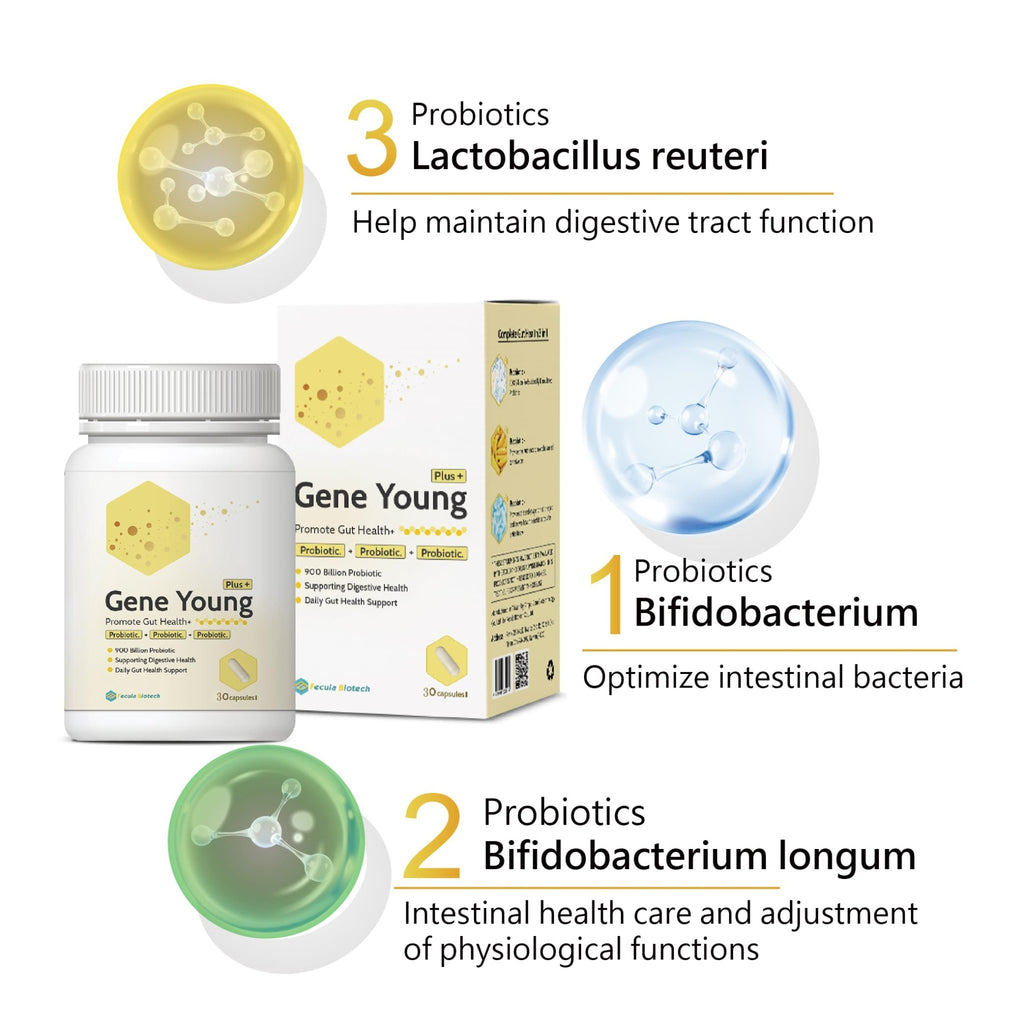 Fecula Biotech Synbiotic for Gut Health | 3-in-1 Daily Prebiotic, Probiotic, Postbiotic for Digestive Health, Bloat & Immune Support - FENGGESTORE20