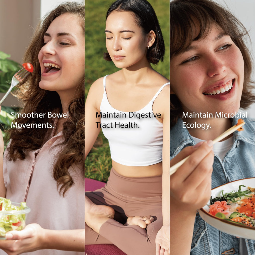 Fecula Biotech Synbiotic for Gut Health | 3-in-1 Daily Prebiotic, Probiotic, Postbiotic for Digestive Health, Bloat & Immune Support - FENGGESTORE20