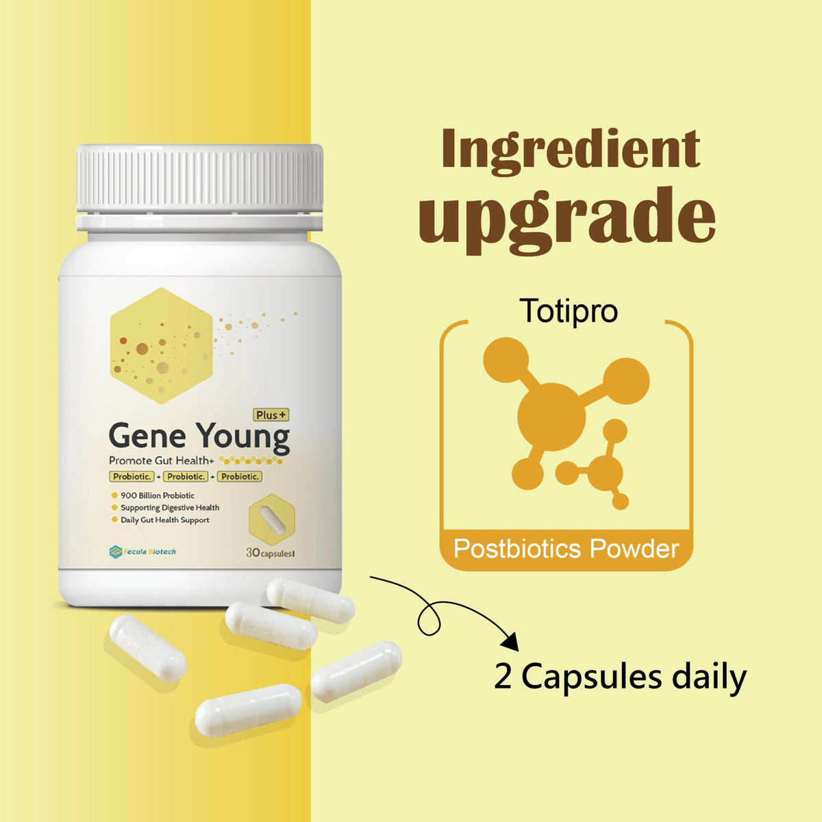 Fecula Biotech Synbiotic for Gut Health | 3-in-1 Daily Prebiotic, Probiotic, Postbiotic for Digestive Health, Bloat & Immune Support - FENGGESTORE20