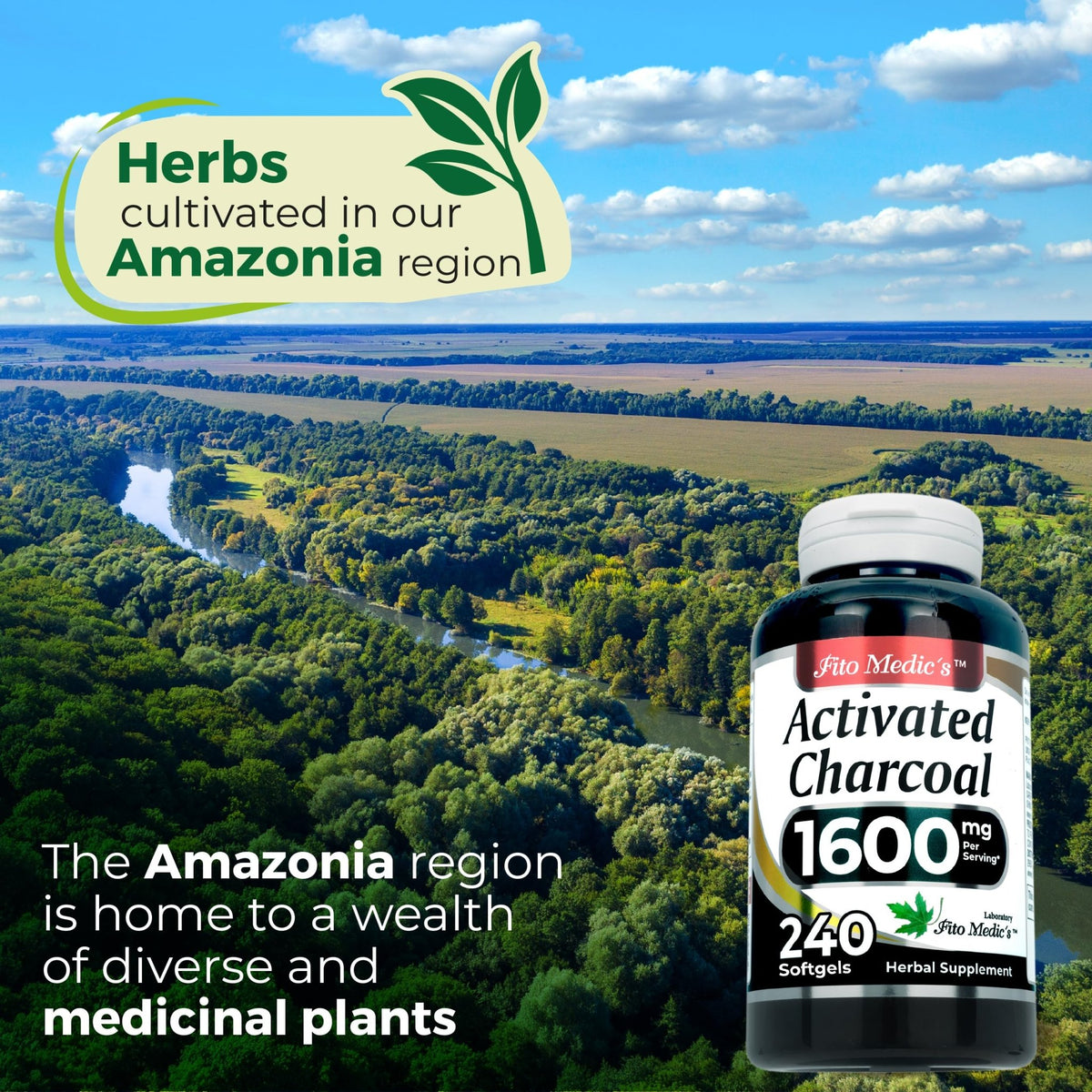 FITO MEDIC'S Lab | Activated Charcoal | 240 caps | Activated Charcoal Pills - FENGGESTORE20