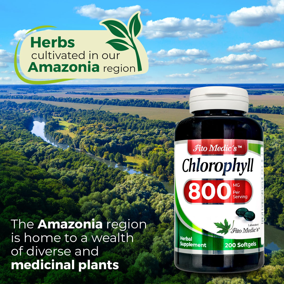 FITO MEDIC'S Lab Chlorophyll Supplement, 200 Softgels, Chlorophyll Capsules - FENGGESTORE20