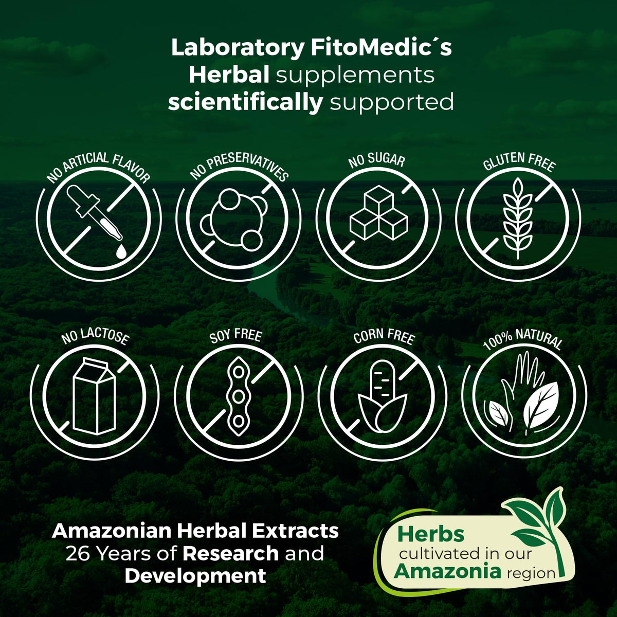 FITO MEDIC'S Lab Chlorophyll Supplement, 200 Softgels, Chlorophyll Capsules - FENGGESTORE20