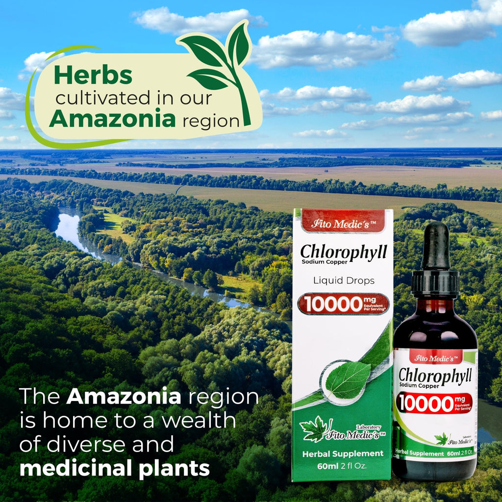 FITO MEDIC'S Lab | Liquid Chlorophyll | Chlorophyll Liquid Drops | 50 mg 200:1 Ratio Extract per Serving. - FENGGESTORE20