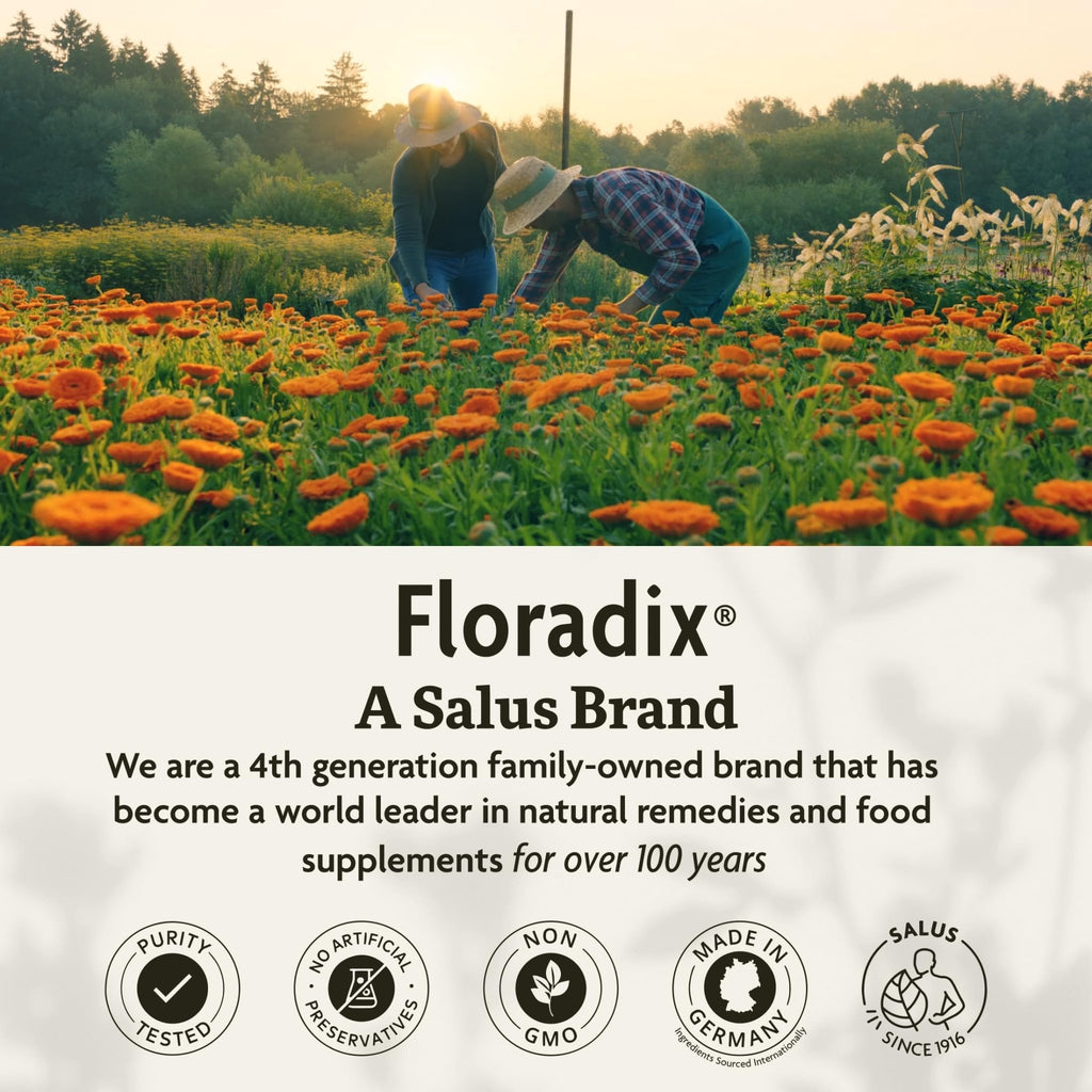 Floradix Iron & Herbs - Liquid Herbal Supplement for Energy Support - Iron Supplement with Vitamin C & Vitamin B Complex - for Men & Women - 8.5 fl oz - FENGGESTORE20