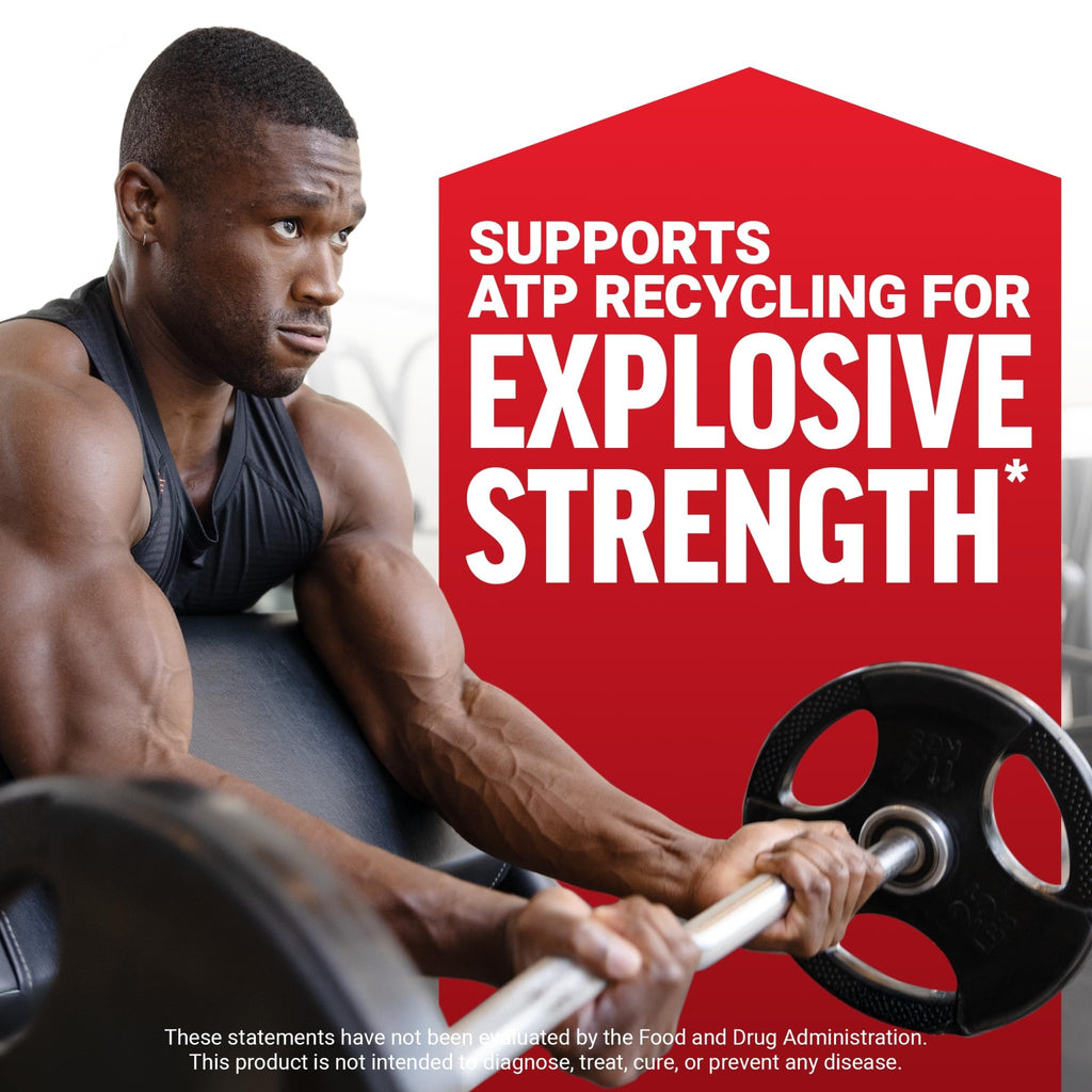 Force Factor Creatine Monohydrate Powder, 5g Micronized Dose to Support Muscle Growth, Strength, Recovery, Cognitive Health & Memory - FENGGESTORE20