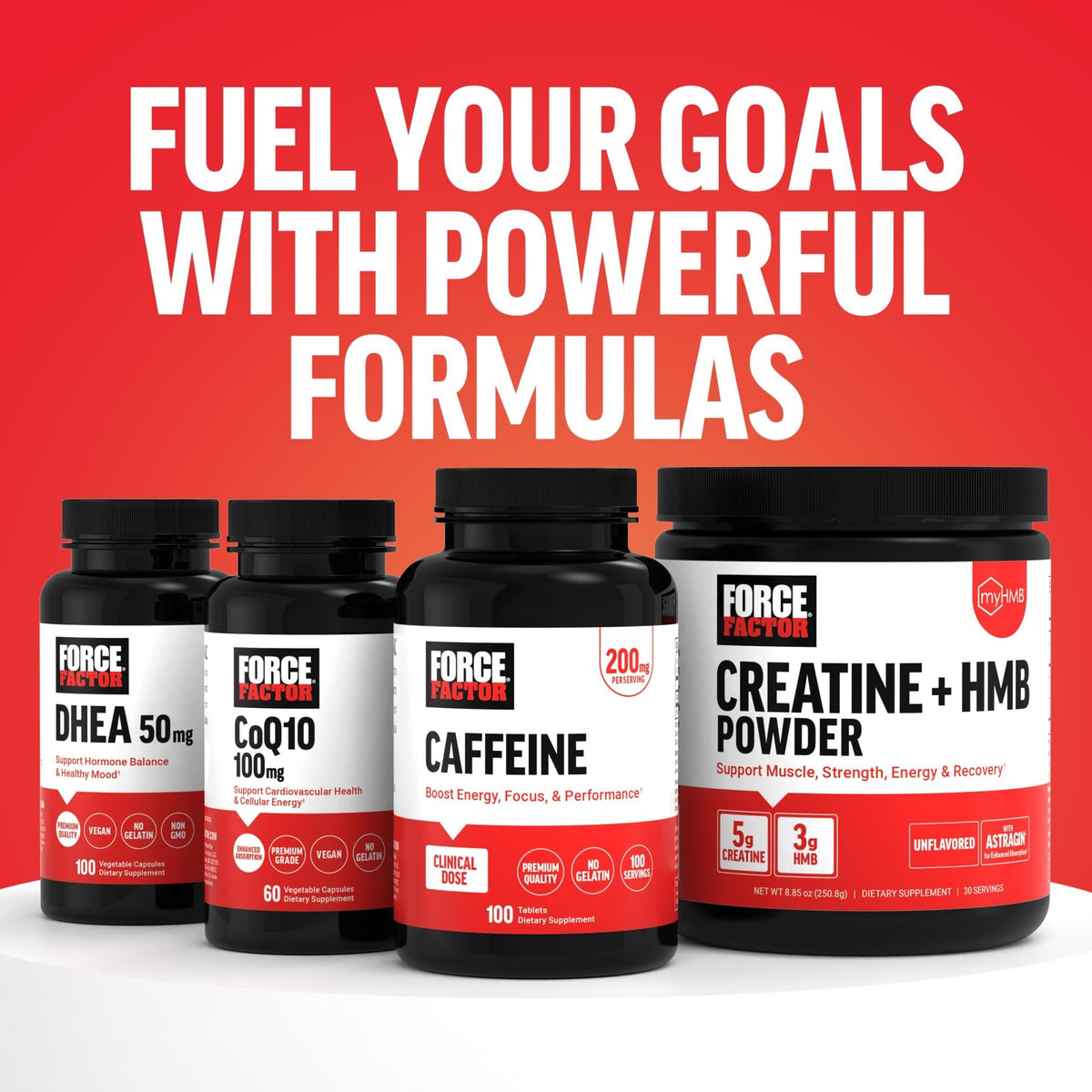 Force Factor L-Carnitine Liquid 3000mg, Maximum Strength Supplement to Support Fat Metabolism, Cellular Energy & Muscle Recovery, High Absorbing - FENGGESTORE20