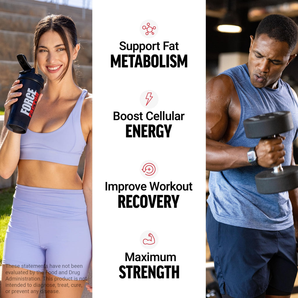 Force Factor L-Carnitine Liquid 3000mg, Maximum Strength Supplement to Support Fat Metabolism, Cellular Energy & Muscle Recovery, High Absorbing - FENGGESTORE20