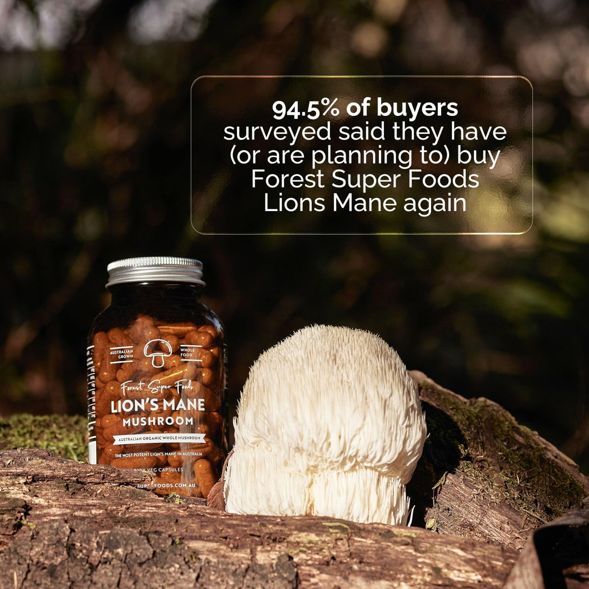 Forest Super Foods Lions Mane Supplement Capsules (120 Capsules) Organic Lions Mane Mushroom | Memory Lift Brain Supplement for Focus and Productivity. Lion Mane, Grown & Made in Australia - FENGGESTORE20