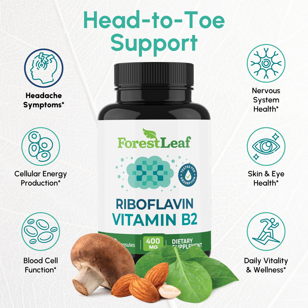 ForestLeaf Vitamin B2 Riboflavin 400mg - Energy, Skin & Cellular Health Supplement - Nervous System Support - Vitamin B 2 VIT B - Non-GMO & Gluten Free - FENGGESTORE20