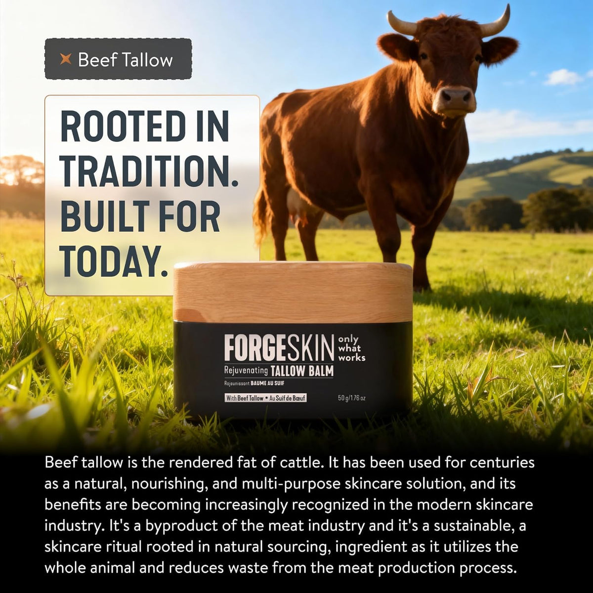 Forge Skin® Wrinkle Defense Beef Tallow Balm for Men [TALLOW-BASED] Moisturizer for Face Hydration - Hydrating Anti Aging Skin Cream - FENGGESTORE20
