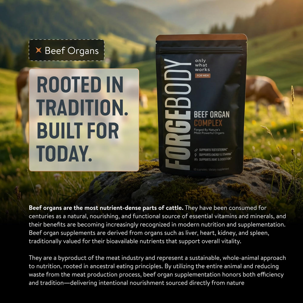 FORGEBODY® Beef Organ Complex Capsules [1 Month] - 100% Grass Fed Beef Organ Supplement with Blend of Liver, Heart, Bone Marrow, Pancreas & Testicles - FENGGESTORE20