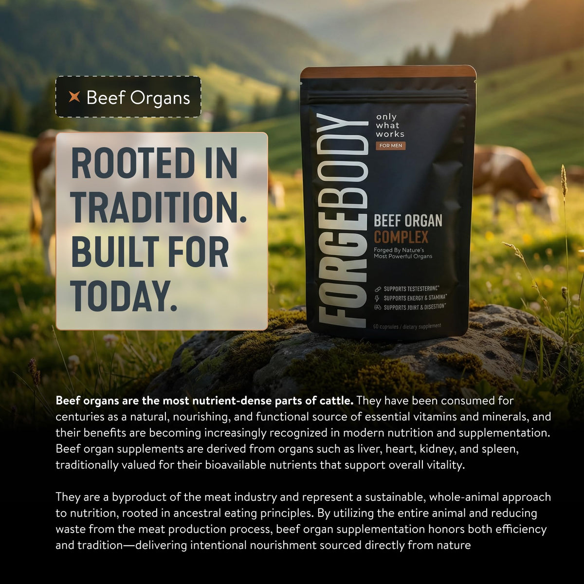 FORGEBODY® Beef Organ Complex Capsules [1 Month] - 100% Grass Fed Beef Organ Supplement with Blend of Liver, Heart, Bone Marrow, Pancreas & Testicles - FENGGESTORE20