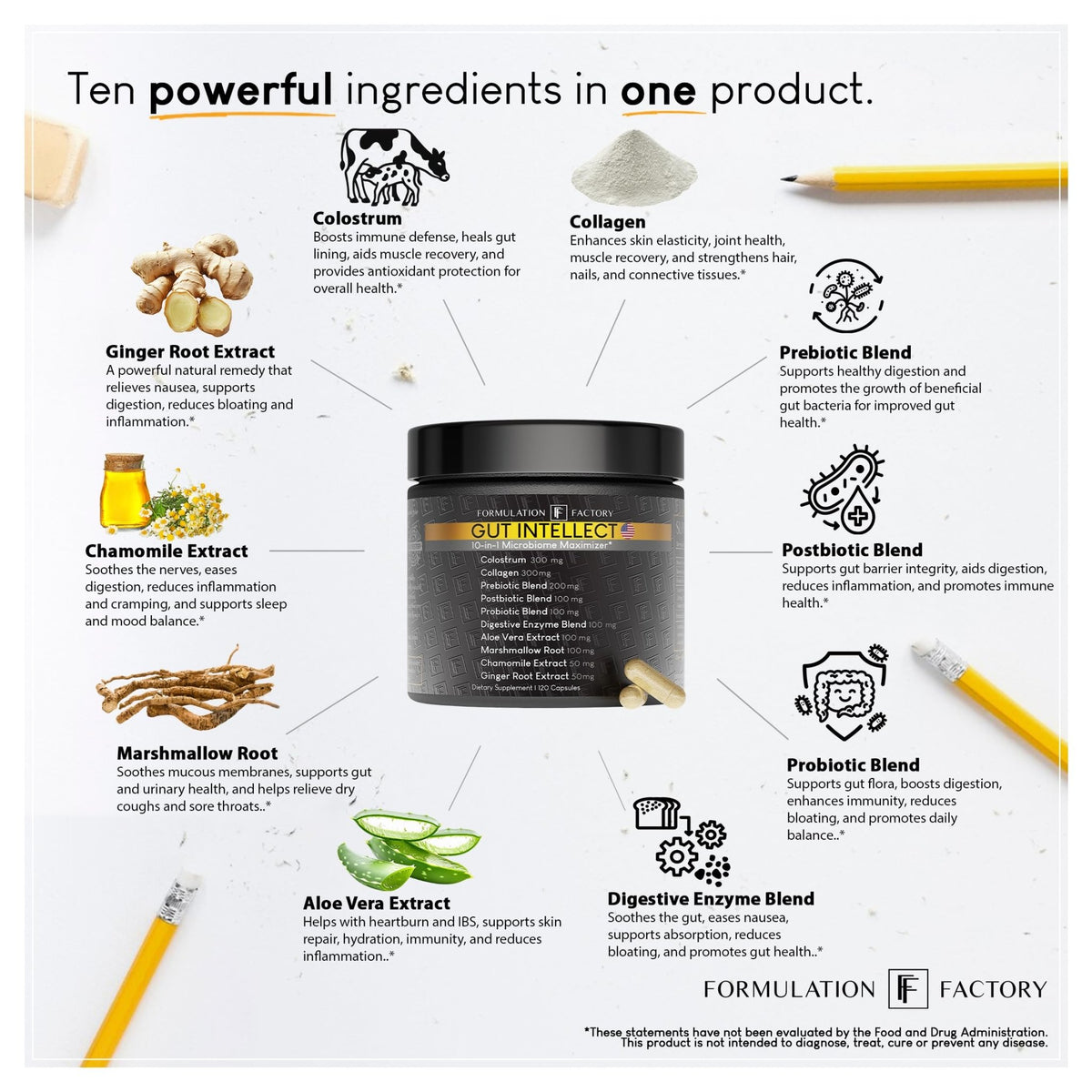 Formulation Factory Probiotics for Women & Men - Gut Intellect 10-in-1 Digestive Enzymes with Prebiotics and Postbiotics - Total Gut Health Supplement - FENGGESTORE20