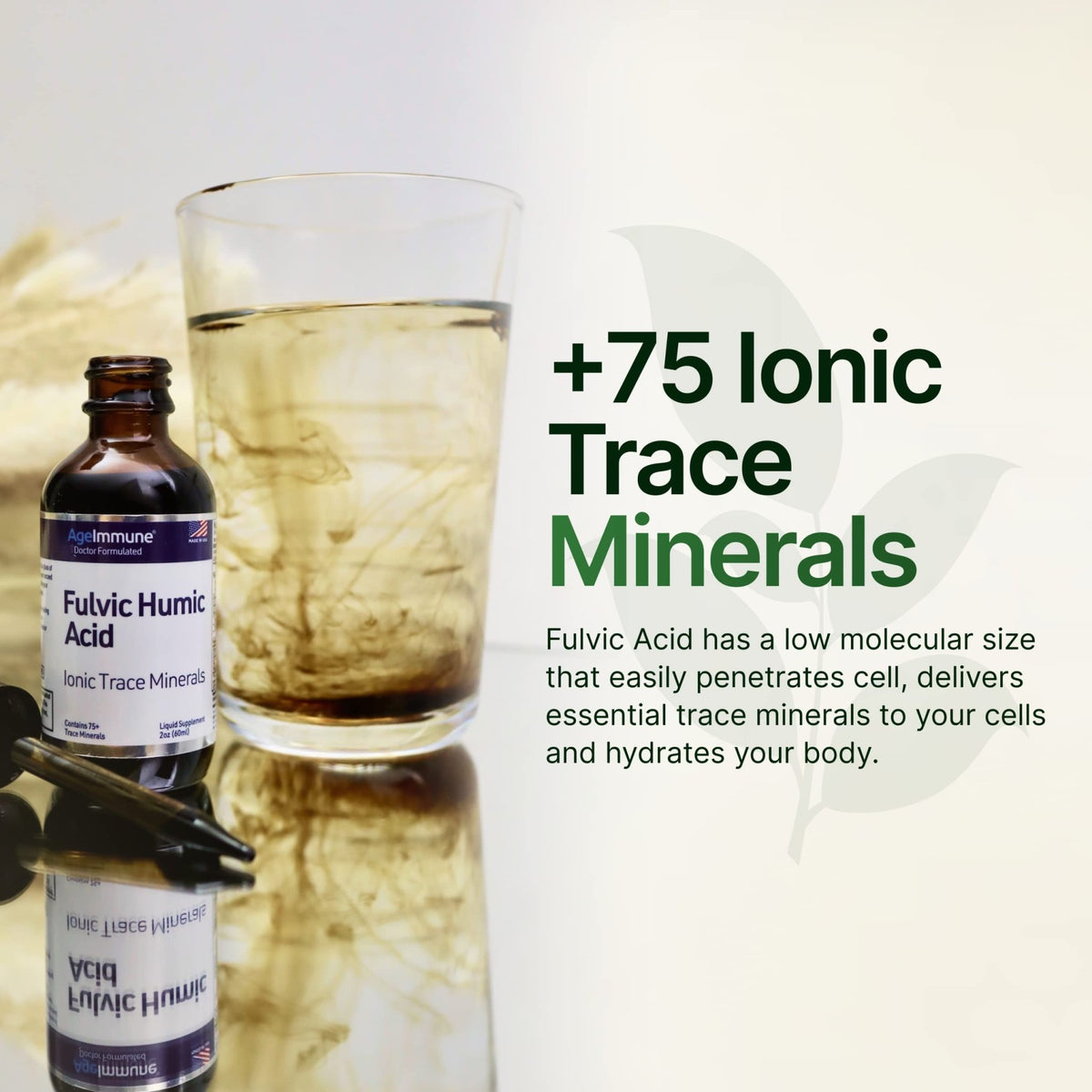 Fulvic Humic Acid 75 + Trace Minerals Liquid Supplement - Plant Derived in USA - Fulvic Acid Minerals Concentrate for Energy, Gut Health and Hydration - FENGGESTORE20