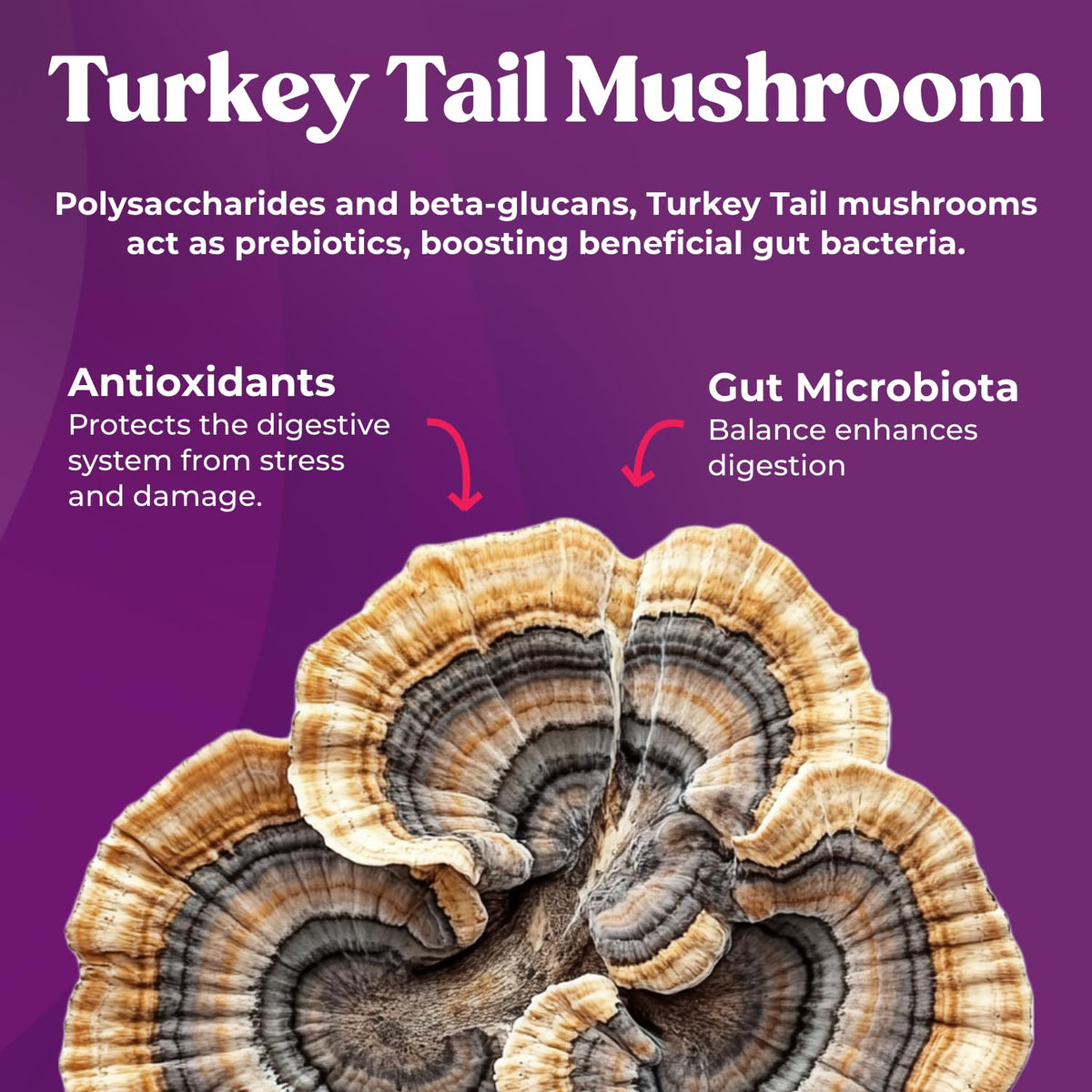 Fungiments Super Prune - Mushroom Supplement - Turkey Tail Mushrooms, Fiber, Rhubarb, Prunes, Ginger, Chamomile - Debloating, Constipation Relief - FENGGESTORE20