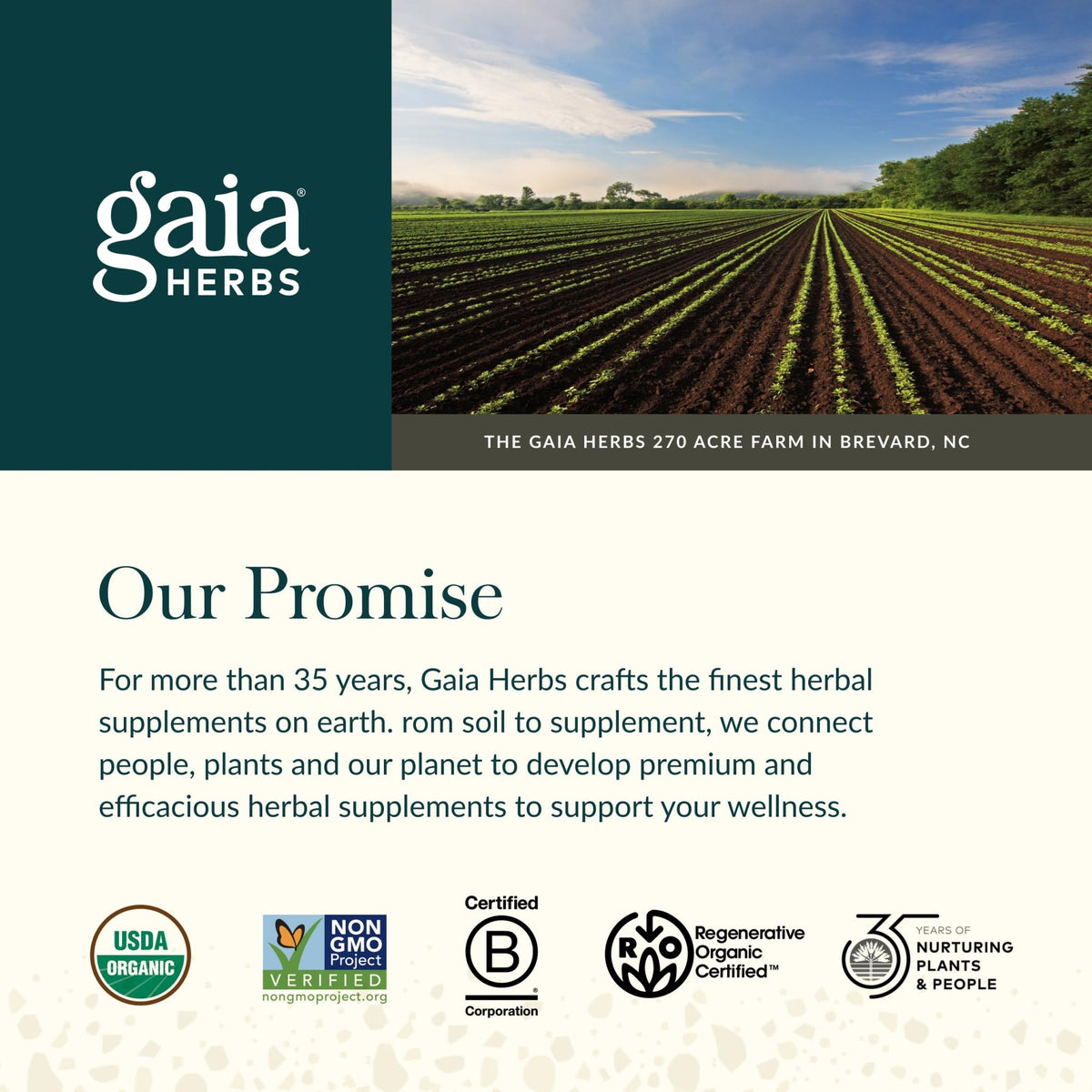 Gaia Herbs Ashwagandha Root - Stress Relief & Sleep Support Supplement - Supports Balanced Energy Levels & Positive Outlook - FENGGESTORE20