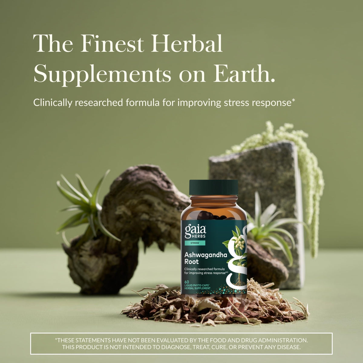 Gaia Herbs Ashwagandha Root - Stress Relief & Sleep Support Supplement - Supports Balanced Energy Levels & Positive Outlook - FENGGESTORE20