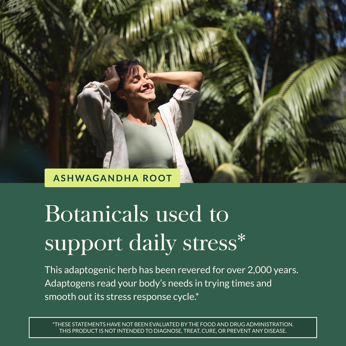Gaia Herbs Ashwagandha Root - Stress Relief & Sleep Support Supplement - Supports Balanced Energy Levels & Positive Outlook - FENGGESTORE20