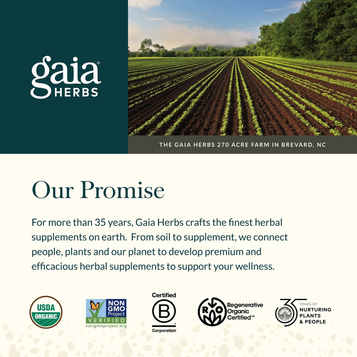 Gaia Herbs Turmeric Supreme Extra Strength - Supports Occasional Discomfort from Normal Wear & Tear* - with Turmeric Curcumin & Black Pepper - FENGGESTORE20