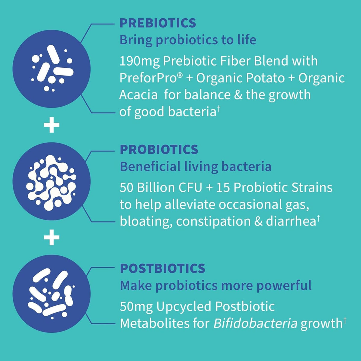 Garden of Life Dr. Formulated Pre, Post & Probiotics Gas & Bloating Once Daily 3-in-1 Complete Prebiotics, Postbiotics & Probiotics – 50 Billion CFU - FENGGESTORE20