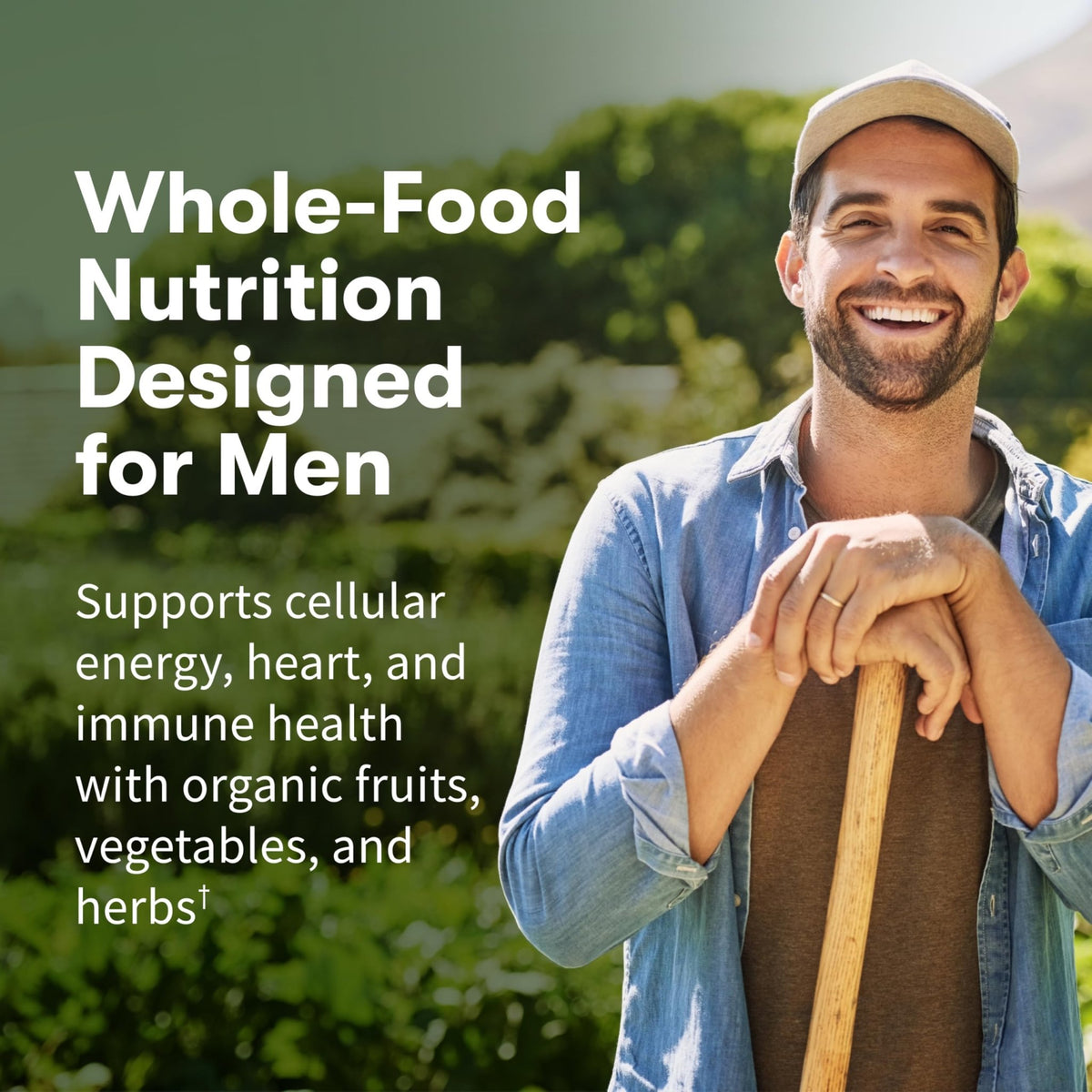 Garden of Life Once Daily Whole Food Multivitamin for Men, Organic Mens Vitamins & Minerals, Vitamin C, Zinc, Vegan, for Health & Well-Being, 60 Tablets - FENGGESTORE20