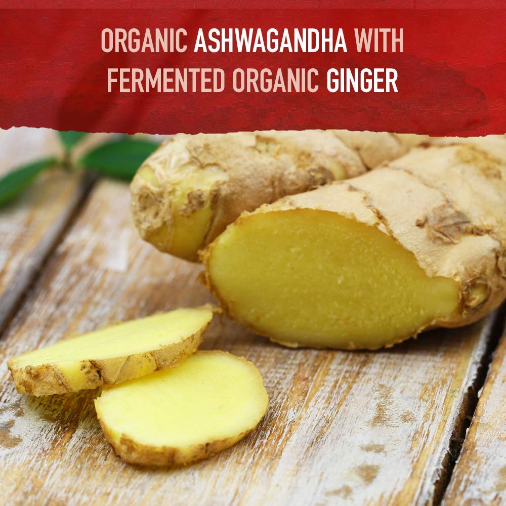 Garden of Life Organic Ashwagandha Supplement with Probiotics & Ginger - Stress, Mood & Energy Support, Vegan, Gluten Free - FENGGESTORE20