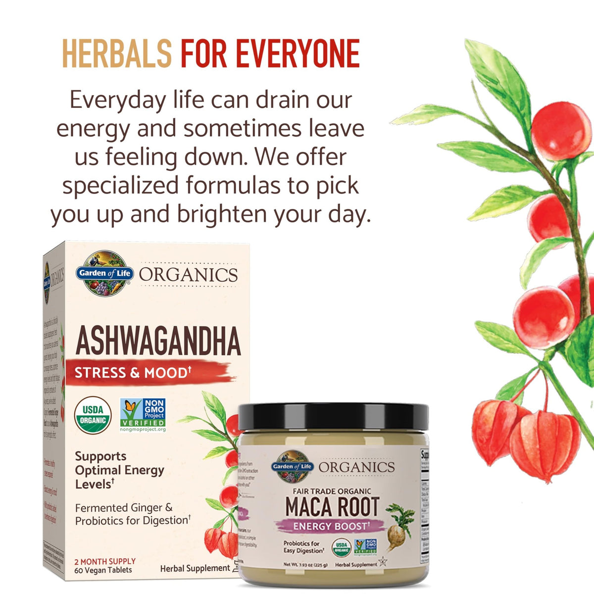 Garden of Life Organic Ashwagandha Supplement with Probiotics & Ginger - Stress, Mood & Energy Support, Vegan, Gluten Free - FENGGESTORE20